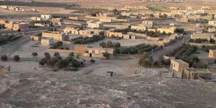 The article's picture is expressive