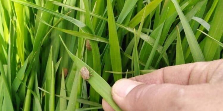 The article's picture is expressive