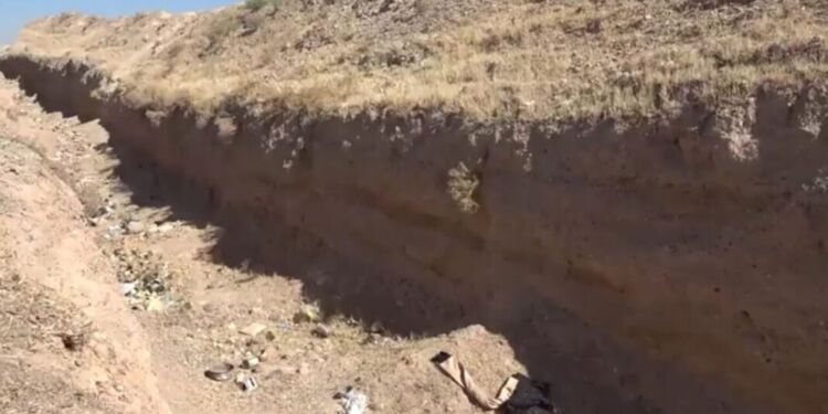 صورة المقال تعبيرية