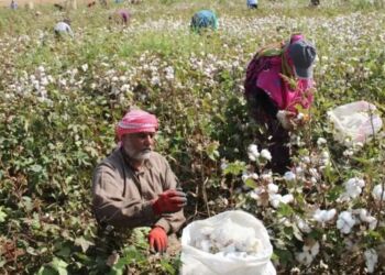 The article's picture is expressive