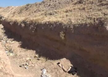 The article's picture is expressive