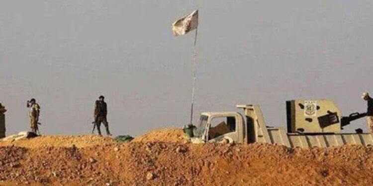 The article's picture is expressive