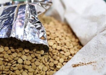 The article's picture is expressive