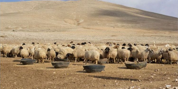 The article's picture is expressive