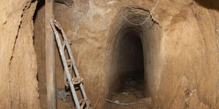 The article's picture is expressive