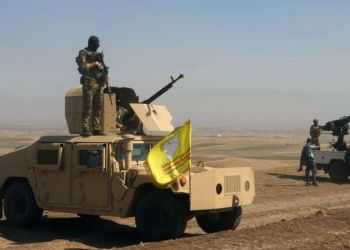 The article's picture is expressive