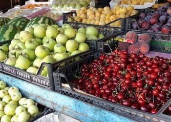 صورة المقال تعبيرية