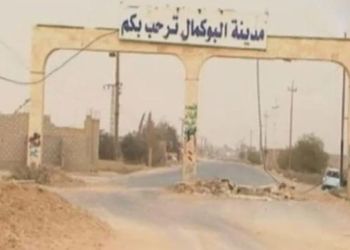 The article's picture is expressive