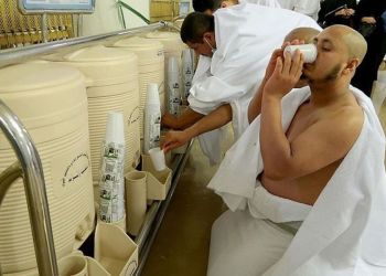 The article's picture is expressive