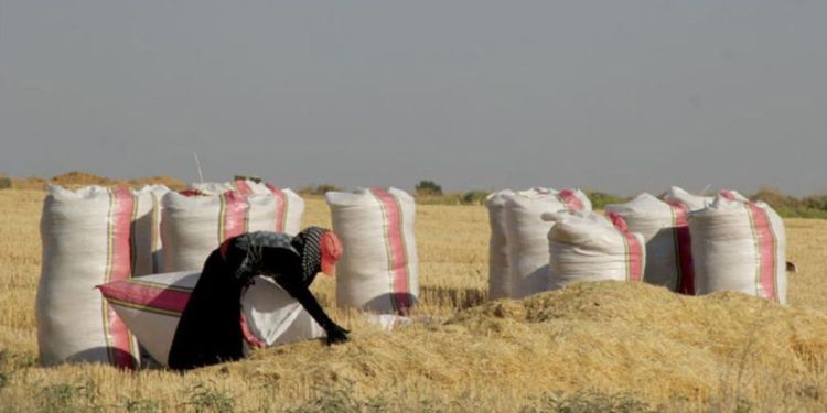 The article's picture is expressive