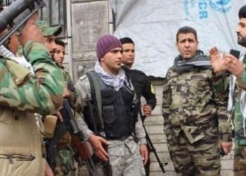 The article's picture is expressive