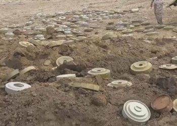 The article's picture is expressive