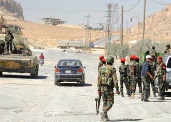 The article's picture is expressive