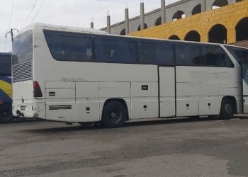 The article's picture is expressive