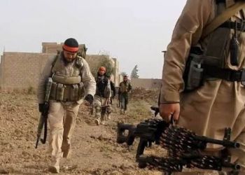 The article's picture is expressive