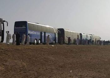 The article's picture is expressive