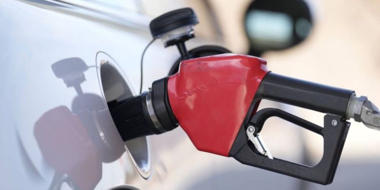 The article's picture is expressive