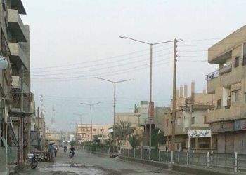 The article's picture is expressive