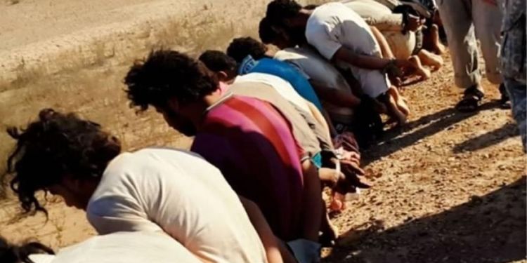 The article's picture is expressive