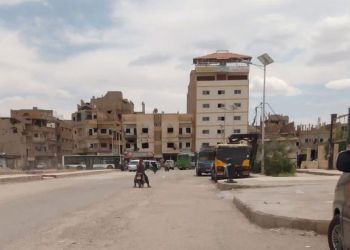 The article's picture is expressive