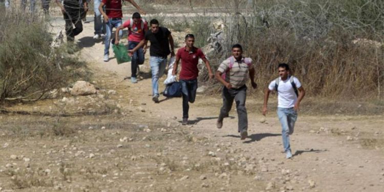 صورة المقال تعبيرية