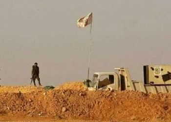 The article's picture is expressive