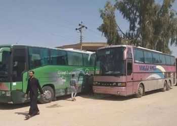 The article's picture is expressive