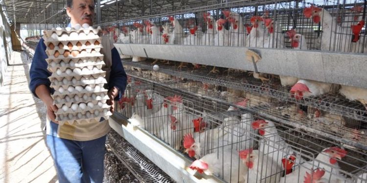 صورة المقال تعبيرية