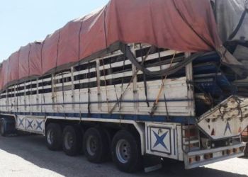 تصاویر صرفا برای اشاره به موضوع گزارش نشان داده شده اند