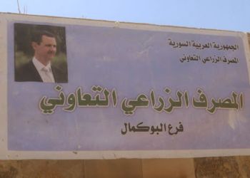 صورة المقال تعبيرية