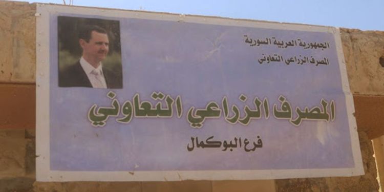 The article's picture is expressive