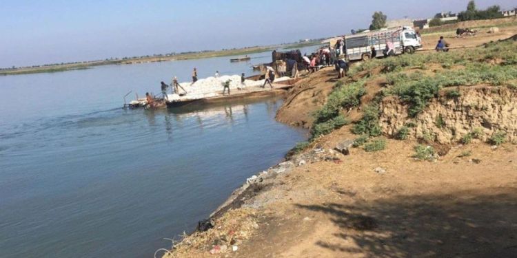 The article's picture is expressive