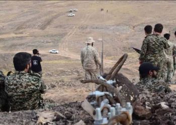 The article's picture is expressive