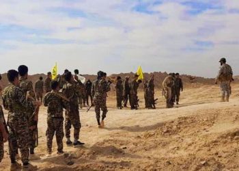 The article's picture is expressive