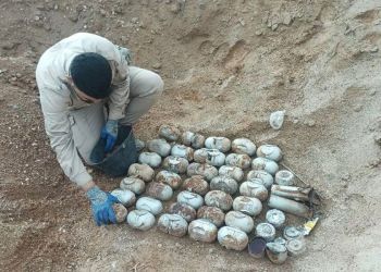 The article's picture is expressive