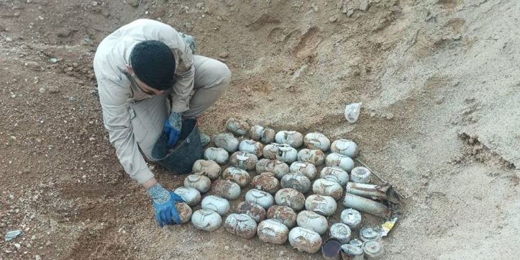 The article's picture is expressive