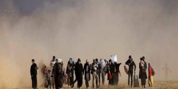 صورة المقال تعبيرية