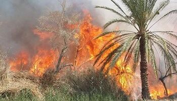 The article's picture is expressive