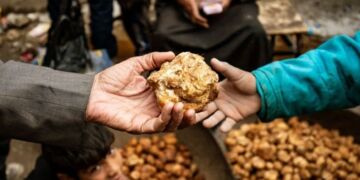 صورة المقال تعبيرية