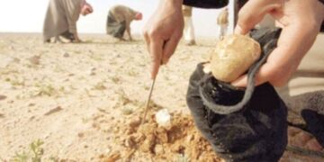 صورة المقال تعبيرية