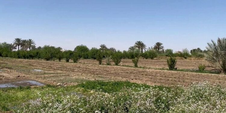 The article's picture is expressive