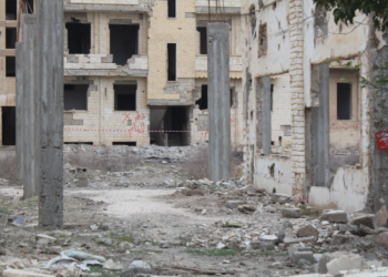 The article's picture is expressive