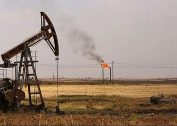 صورة المقال تعبيرية