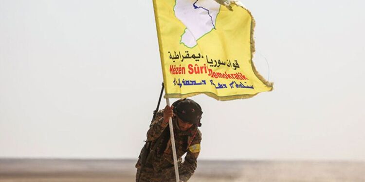 The article's picture is expressive