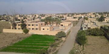 صورة المقال تعبيرية