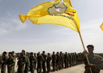 The article's picture is expressive