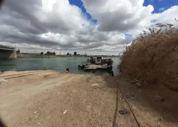 The article's picture is expressive