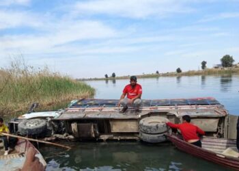 The article's picture is expressive