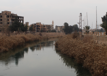 The article's picture is expressive