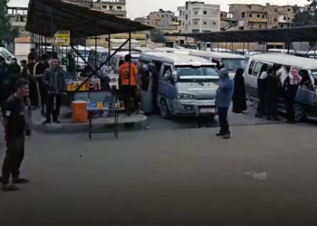 The article's picture is expressive